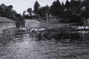 Bilde av Vesterøyveien / Fjellvikverven